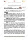 Vista preliminar de documento 241