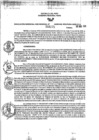 Vista preliminar de documento RGSR_2025_275