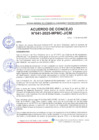 Vista preliminar de documento Acuerdo_041_2025
