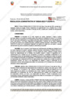 Vista preliminar de documento 243