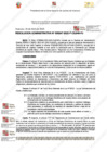 Vista preliminar de documento 247