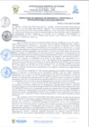 Vista preliminar de documento rgi247