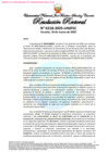 Vista preliminar de documento Resolución Rectoral