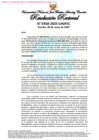 Vista preliminar de documento Resolución Rectoral