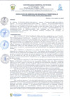Vista preliminar de documento rgi250