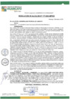 Vista preliminar de documento RA25N177
