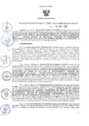 Vista preliminar de documento RER.290