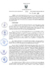 Vista preliminar de documento RER.293