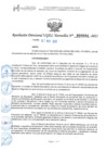 Vista preliminar de documento RESOLUCION DIRECTORAL 000684 - 2025 YAROWILCA