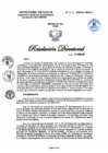 Vista preliminar de documento RD N°334-2025-DG-DIRIS-LC
