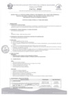 Vista preliminar de documento Bases Régimen 276 Nº 062-2025-MPJB