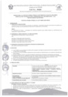 Vista preliminar de documento Bases CAS  Nº 029-2025-MPJB