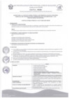 Vista preliminar de documento Bases CAS  Nº 035-2025-MPJB