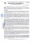 Vista preliminar de documento 176-2025-SGDPM/GGDE/MPH