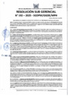 Vista preliminar de documento 192-2025-SGDPM/GGDE/MPH