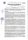 Vista preliminar de documento 208-2025-SGDPM/GGDE/MPH