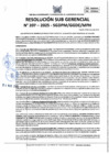 Vista preliminar de documento 207-2025-SGDPM/GGDE/MPH
