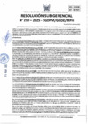 Vista preliminar de documento 210-2025-SGDPM/GGDE/MPH