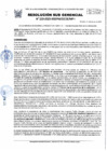 Vista preliminar de documento 223-2025-SGDPM/GGDE/MPH