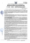 Vista preliminar de documento 233-2025-SGDPM/GGDE/MPH