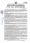 Vista preliminar de documento 234-2025-SGDPM/GGDE/MPH