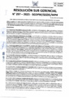 Vista preliminar de documento 297-2025-SGDPM/GGDE/MPH