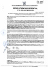 Vista preliminar de documento 302-2025-SGDPM/GGDE/MPH
