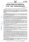 Vista preliminar de documento 307-2025-SGDPM/GGDE/MPH