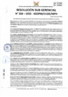 Vista preliminar de documento 328-2025-SGDPM/GGDE/MPH