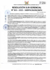 Vista preliminar de documento 333-2025-SGDPM/GGDE/MPH