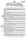 Vista preliminar de documento 337-2025-SGDPM/GGDE/MPH