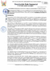 Vista preliminar de documento 347-2025-SGDPM/GGDE/MPH