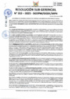 Vista preliminar de documento 353-2025-SGDPM/GGDE/MPH