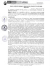 Vista preliminar de documento RGSP630-2024
