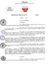 Vista preliminar de documento Resolucion Directoral N° 003148-2025