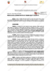 Vista preliminar de documento 260