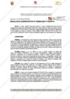 Vista preliminar de documento 263