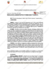 Vista preliminar de documento 264