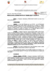 Vista preliminar de documento 265