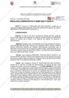 Vista preliminar de documento 267