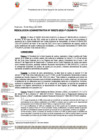 Vista preliminar de documento 272