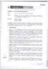 Vista preliminar de documento RD N°306-2013-MEM-AAM