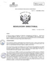 Vista preliminar de documento R.D. N°135 -2025-DIRESA-L-HRC-DE- ASIGNACION DE FUNCIONES DE RESPONSABLE DE ENFERMEDADES