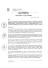 Vista preliminar de documento RES N° 171-2025-CU-UNAMBA