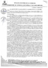 Vista preliminar de documento RGMN209-2025