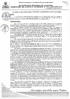 Vista preliminar de documento RGMN211-2025