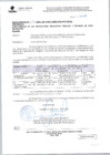 Vista preliminar de documento oficio multiple 294