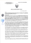 Vista preliminar de documento RD-2148-2025-DSAIA-DIRIS-LE-MINSA