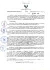 Vista preliminar de documento RER.299