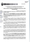 Vista preliminar de documento RGSP0646-2024